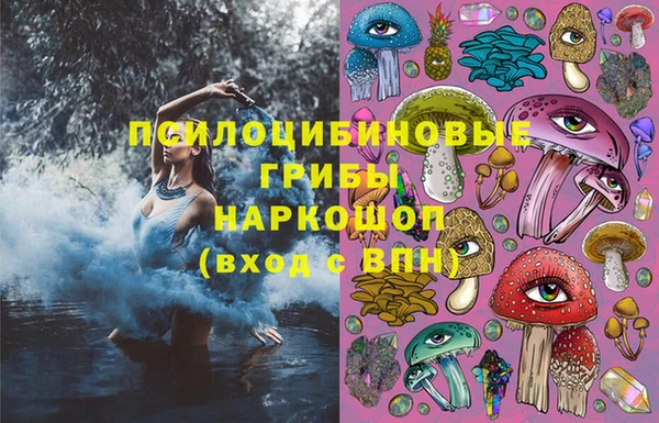 Альфа ПВП Алзамай