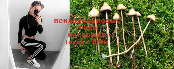 амф Алексеевка