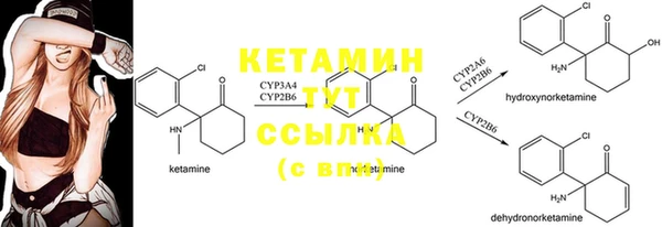 амф Алексеевка